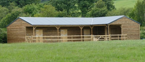 49++ Portable stables for sale ireland information