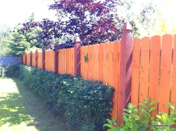Roundtop Fence using Special Top Posts